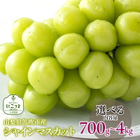 ふるさと納税 おすすめ ランキング シャインマスカット 笛吹市 国産 人気...