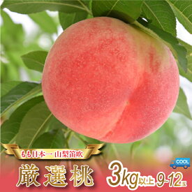 【ふるさと納税】＜25年発送先行予約＞&【2026年発送★先行予約】産地厳選日本一笛吹市の桃3kg以上（9玉〜12玉） ふるさと納税 もも 桃 笛吹市 国産 人気 期間限定 果物 フルーツ 旬 山梨県 送料無料 106-009