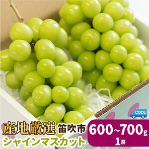 yӂ邳Ɣ[Łzy2026Ns\zVC}XJbg 600g` 1[ (Ezs) Ԍ pbƂ͂H Ԃǂ lC  Mtg  ~ A { ʕ t[c R