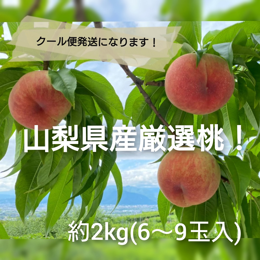 日本一の桃の生産地から日本一の美味しさをお届け ふるさと納税 山梨県 笛吹市産 厳選 桃 フルーツ 甘い 約2.0kg 笛吹市 人気が高い 10周年記念イベントが 6～9玉～クール便配送～もも