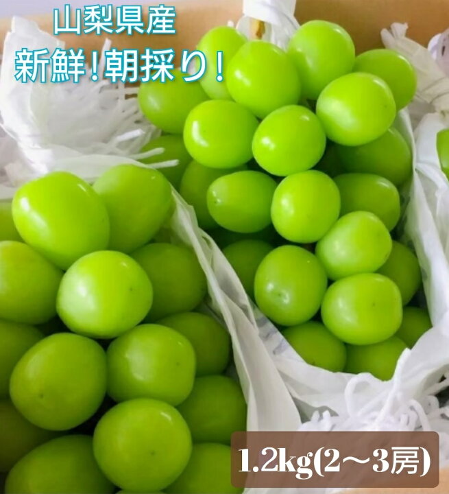 楽天市場 ふるさと納税 クール便配送 シャインマスカット 約1 2kg以上 2 3房 先行予約 23年発送分 産地厳選 山梨県 笛吹市産 大人気 果物 送料無料 青果のため沖縄県 離島への発送不可となります 山梨県笛吹市 楽天市場 ふるさと納税 クール便配送 シャインマスカット 約1 2kg以上 2 3房 先行予約 23年発送分 産地厳選 山梨県 笛吹市産 大人気 果物 送料無料 青果のため沖縄県 離島への発送不可となります 山梨県笛吹市