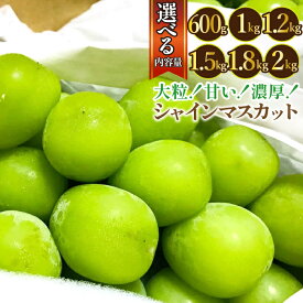 【ふるさと納税】【2026年発送★先行予約】農園直送！濃厚シャインマスカット 【選べる容量 600gから2kg】　※クール便配送 ふるさと納税 おすすめ ランキング 笛吹市 国産 人気 期間限定 ぶどう ブドウ 葡萄 旬 果物 フルーツ 山梨県 送料無料 109-001