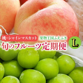 【ふるさと納税】通年定期便★ふえふき旬のフルーツ（桃・シャインマスカット）【L】 ★楽天限定★　ふるさと納税 おすすめ ランキング もも 桃 笛吹市 国産 人気 期間限定 果物 フルーツ おやつ デザート ピーチ 旬 山梨県 送料無料 109-015