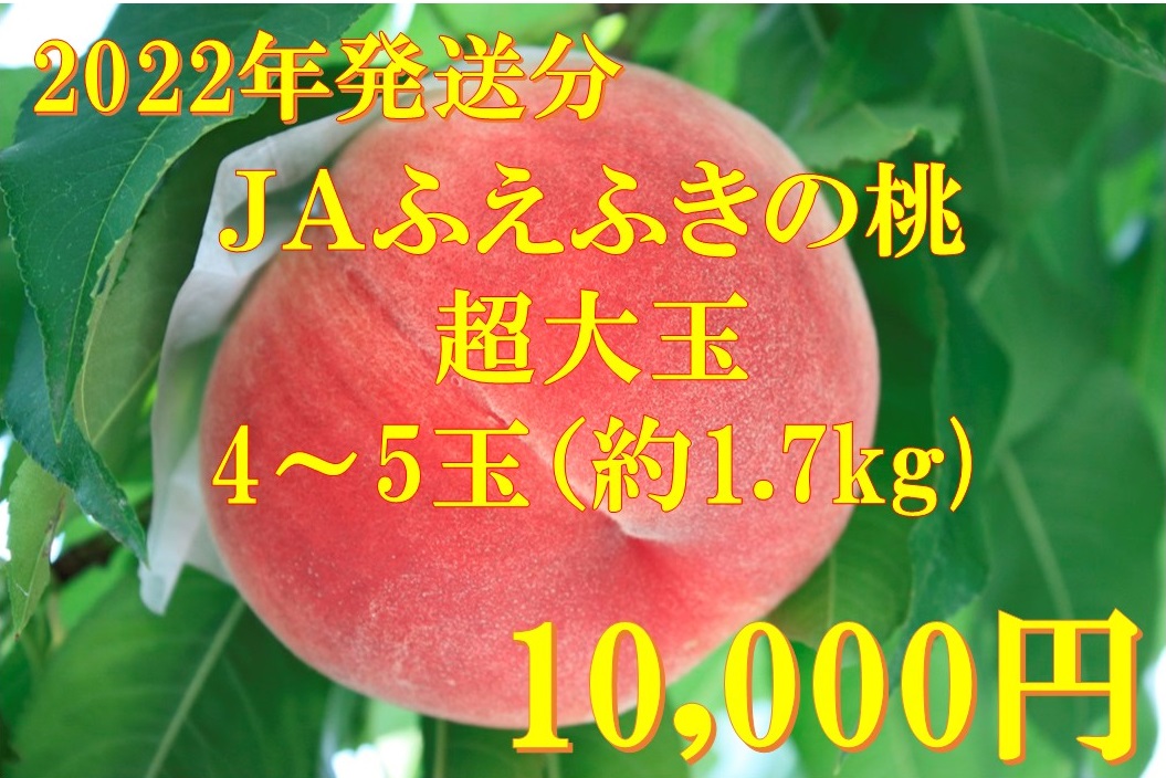 日本一の桃の産地のJAふえふきから大玉の桃をお届けします 最終決算 ふるさと納税 超大玉 激安セール 露地桃 山梨 フルーツ 約1.7kg約4～5玉入り産地直送