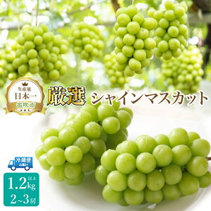 �y�ӂ邳�Ɣ[�Łz�y2026�N��������s�\��z���I�V���C���}�X�J�b�g1.2kg�i2�`3�[�j �ӂ邳�Ɣ[�� �V���C���}�X�J�b�g �J���s ���Y �l�C ���Ԍ��� �Ԃǂ� �u�h�E ���� �{ �ʕ� �t���[�c �R���� 