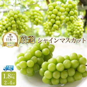 yӂ邳Ɣ[Łzy2026Ns\zIVC}XJbg 1.8kgȏ2`4[ ӂ邳Ɣ[ VC}XJbg Js Y lC Ԍ Ԃǂ uhE  { ʕ t[c R