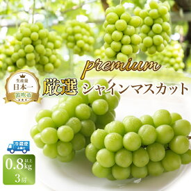 【ふるさと納税】【2026年発送★先行予約】厳選プレミアムシャインマスカット800g以上3房 計2.4kg以上 ふるさと納税 シャインマスカット 笛吹市 国産 人気 期間限定 ぶどう ブドウ 葡萄 旬 果物 フルーツ 山梨県 送料無料 111-017
