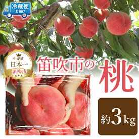 【ふるさと納税】＜2024年先行予約＞山梨の完熟桃3kg ふるさと納税 もも 桃 笛吹市 国産 人気 期間限定 果物 フルーツ 旬 山梨県 送料無料 111-019