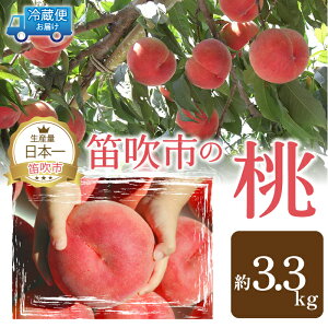 yӂ邳Ɣ[Łzy2026Ns\zR̊n3.3kgȏ ӂ邳Ɣ[   Js Y lC Ԍ ʕ t[c { R  111-019