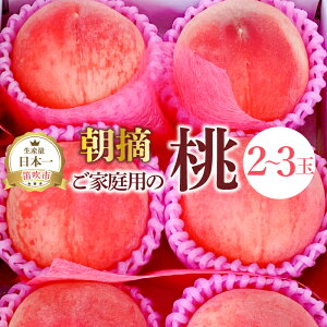 yӂ邳Ɣ[Łzy2026Ns\zƒp̓2`3 ӂ邳Ɣ[   Js Y lC Ԍ ʕ t[c { R  111-022