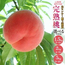 【ふるさと納税】【2026年発送★先行予約】笛吹市産 こだわりの 桃 約1.5kg 〜 約5.0kg 〈選べる内容量〉沖縄・離島配送不可 期間限定 もも ピーチ 人気 贈答 ギフト 中元 お盆 帰省 果物 フルーツ 山梨県 リピート 高評価 芳醇 選別 送料無料 090-010