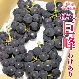 【ふるさと納税】【2026年発送★先行予約】山梨県笛吹市産わけあり巨峰（たねなし） ふるさと納税 巨峰 わけあり 訳アリ 笛吹市 国産 人気 期間限定 ぶどう ブドウ 葡萄 旬 果物 フルーツ 山梨県 送料無料 090-018