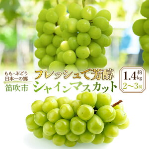yӂ邳Ɣ[Łz25Ns\񁄃tbVŖFVC}XJbg2-3[@1.4kg ӂ邳Ɣ[  LO VC}XJbg Js Y lC Ԍ Ԃǂ  