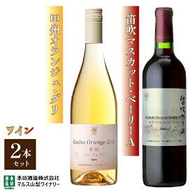 【ふるさと納税】「甲州オランジュ・グリ」「笛吹マスカット・ベーリーA」 ふるさと納税 ワイン 笛吹市 山梨ワイン 酒 アルコール 山梨県 記念品 お祝い 送料無料 015-020