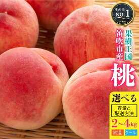 【ふるさと納税】【選べる容量・クール便・常温便】＜26年発送＞ 桃 もも 山梨県 笛吹市産 朝獲り 新鮮 ※沖縄県・離島への発送不可となります 126-001