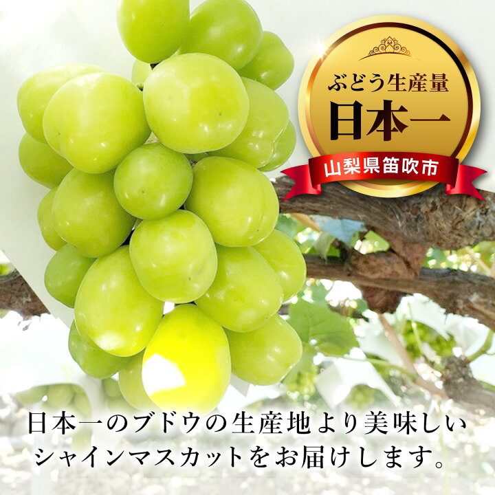 楽天市場】【ふるさと納税】こだわりシャインマスカット 650g 