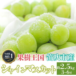 yӂ邳Ɣ[Łz25Ns\񁄂VC}XJbg 1.2kg@2.5kgyIׂeʁz (Ezs) (퉷z) Ԍ LO Ԃǂ  lC   126-002/12