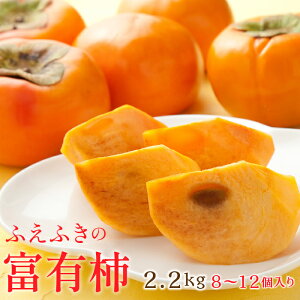 yӂ邳Ɣ[Łz25Ns\񁄎RJsΘaY@xL` 2.2kg 8`12@ӂ邳Ɣ[ ` xL` Js Y lC Ԍ ʕ t[c { 蕨 Mtg v[g R