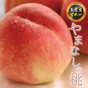yӂ邳Ɣ[Łz25Ns\񁄁y2026Ns\z R̓ 1.8kg ӂ邳Ɣ[ lC  LO   Js Y Ԍ ʕ t[c { R  127