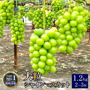 2025Ny2026Ns\zyӂ邳Ɣ[ŁzԂǂVC}XJbg1.2kgi2~3[j ӂ邳Ɣ[ VC}XJbg 嗱 Js Y lC Ԍ Ԃǂ uhE 