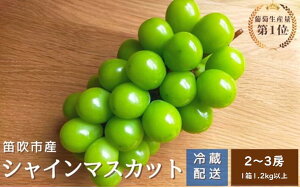 yӂ邳Ɣ[Łzy2026Ns\zVC}XJbg@2`3[1.2kgȏ@N[֑Ή ӂ邳Ɣ[ lC  LO VC}XJbg Y lC Ԍ Ԃǂ u