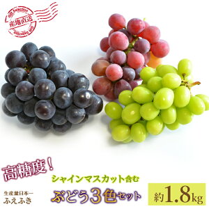 yӂ邳Ɣ[Łz25Ns\ IIVC}XJbg Ə{̂Ԃǂ3FZbg1.8kg (Ezs) Ԍ LO  sI[l  NC[j[i Ԃǂ  