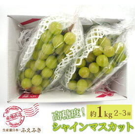【ふるさと納税】【2026年発送★先行予約】厳選！ 山梨県笛吹市産シャインマスカット 約1.0kg(2〜3房) ふるさと納税 人気 おすすめ ランキング シャインマスカット 国産 人気 期間限定 ぶどう ブドウ 葡萄 旬 果物 フルーツ 山梨県 笛吹市 送料無料 156-009