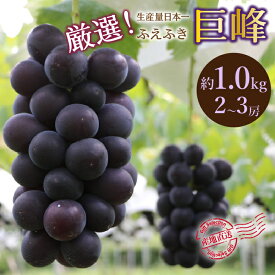 【ふるさと納税】【2026年発送★先行予約】厳選！山梨県笛吹市産 巨峰 約1.0kg（2〜3房） ふるさと納税 笛吹市 国産 人気 期間限定 旬 果物 フルーツ 山梨県 送料無料 156-011