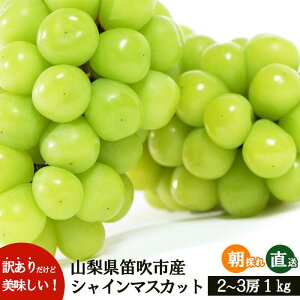 yӂ邳Ɣ[Łz25Ns\񁄁y󂠂z VC}XJbg 2`3[ 1kg 154-027 | s p ƒp t[c ʕ ] lC LO  Â  fU[