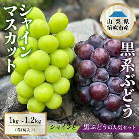 【ふるさと納税】【2026年発送★先行予約】シャインマスカット×黒系ぶどう 1kg〜1.2kg ふるさと納税 おすすめ シャインマスカット 笛吹市 国産 人気 期間限定 ぶどう ブドウ 葡萄 旬 果物 フルーツ 山梨県 154-045