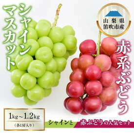 【ふるさと納税】【2026年発送★先行予約】シャインマスカット×赤系ぶどう 1kg〜1.2kg ふるさと納税 おすすめ シャインマスカット 笛吹市 国産 人気 期間限定 ぶどう ブドウ 葡萄 旬 果物 フルーツ 山梨県 154-046