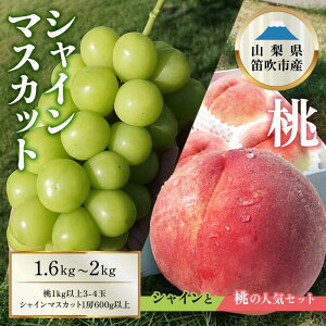 yӂ邳Ɣ[Łz y2026Ns\z ×VC}XJbg 1.6kg`2kg 1kgȏ VC}XJbg600gȏ lߍ킹Zbg ӂ邳Ɣ[  Js Y lC Ԍ Ԃ