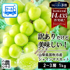 【ふるさと納税】【2026年発送★先行予約】【訳あり】 シャインマスカット 2房〜3房（1kg以上） ※クール便 154-027 | 不揃い ご自宅用 ご家庭用 フルーツ 果物 高評価 人気 ランキング おすすめ 甘い 美味しい デザート 数量限定 送料無料 山梨県産 笛吹市 ぶどう