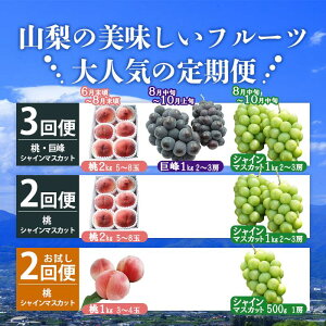 yӂ邳Ɣ[Łzy2026Ns\zIׂ  t[c 2 3   VC}XJbg 荇킹 Ԃǂ ʕ  P 1kg 2kg 1[ 2[ _ƒ ̂ R ʌ 