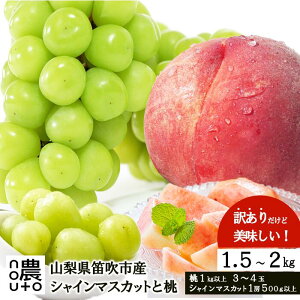 yӂ邳Ɣ[Łz y2026Ns\z 󂠂蓍×󂠂VC}XJbg 1.5kg`2kg 1kgȏ VC}XJbg500gȏ lߍ킹Zbg ӂ邳Ɣ[  Js Y lC 