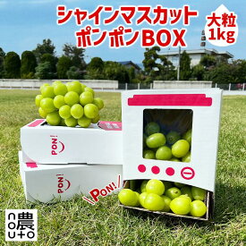 【ふるさと納税】【2026年発送★先行予約】 シャインマスカット 「ポンポンBox 大粒2房分」 種なし ギフト 贈答 敬老の日 山梨産 笛吹市 フルーツ キッズ おもちゃ 楽天 人気 ランキング コスパ 数量限定 おすすめ 国産 人気 期間限定 ぶどう 葡萄 旬 果物 154-050