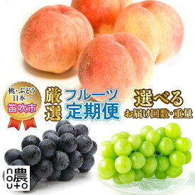 【ふるさと納税】先行予約 選べる 定期便 フルーツ 2回 3回 桃 巨峰 シャインマスカット 2025年発送 盛り合わせ ぶどう 果物 白桃 白鳳 1kg 2kg 1房 2房 農家直送 朝採れ 山梨県 数量限定 種無し 旬 産地直送 果実 贈答 ギフト 家庭用 期間限定 6月 7月 8月 154-028/039/100
