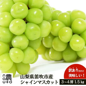 【ふるさと納税】【2026年発送★先行予約】訳あり シャインマスカット1.5kg ふるさと納税 おすすめ シャインマスカット 笛吹市 国産 人気 期間限定 ぶどう ブドウ 葡萄 旬 果物 フルーツ 山梨県 154-044
