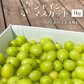 【ふるさと納税】【2026年発送★先行予約】訳あり！ シャインマスカット 粒【えらべる1kg・2kg】 種なしぶどう 山梨県 笛吹市 フルーツ 果物 人気 期間限定 ぶどう ブドウ 葡萄 旬 人気 ランキング コスパ 粒が大きい 甘い 美味しい 数量限定 KEIPE株式会社販売 154-033