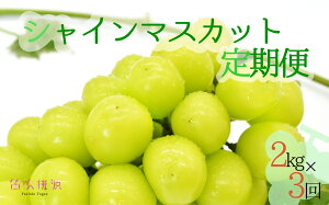 yӂ邳Ɣ[Łz25Ny2026Ns\zVC}XJbg2kg×3 ӂ邳Ɣ[ VC}XJbg Js Y lC Ԍ Ԃǂ uhE  { ʕ t[c R