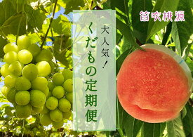 【ふるさと納税】【2026年発送★先行予約】大人気くだもの定期便全2回 ふるさと納税 シャインマスカット 桃 もも 笛吹市 国産 人気 期間限定 ぶどう ブドウ 葡萄 定期便 果物 フルーツ 山梨県 送料無料 157-011