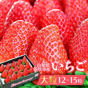 �y�ӂ邳�Ɣ[�Łz�y�R�����J���s�z�嗱������12�`15������ �ӂ邳�Ɣ[�� ������ �C�`�S � �嗱 �J���s ���Y �l�C ���Ԍ��� �ʕ� �t���[�c �{ �R���� �������� 164-004