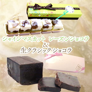 yӂ邳Ɣ[ŁzVC}XJbg[YVR NVbNVR ӂ邳Ɣ[ VR VC}XJbg `R[g Js [Y XC[c 蕨 Mtg v[