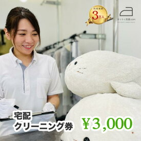 【ふるさと納税】ネットで洗濯クリーニング券3,000円分 ふるさと納税 クリーニング ビジネスバッグ ぬいぐるみ ダウン スノーウェア 笛吹市 キャップ ハット ヘルメット ゴアテックス 山梨県 166-004