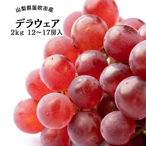 yӂ邳Ɣ[Łzy2026Ns\zJsYfEFA12`17[ 2kg ӂ邳Ɣ[ fEFA Js Y lC Ԍ Ԃǂ uhE  { ʕ t[c R  167-051