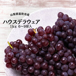 yӂ邳Ɣ[Łzy2026Ns\zJsYnEXfEFA6`9[ 1kg ӂ邳Ɣ[ fEFA Js Y lC Ԍ Ԃǂ uhE  { ʕ t[c R  167