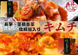 yӂ邳Ɣ[ŁzJ@V؃L`EL`@ϔ@Hה׃Zbg 167-182