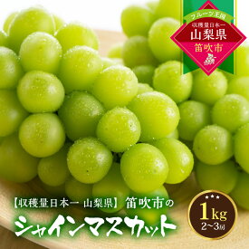 【ふるさと納税】【2026年発送★先行予約】葡萄の一大産地！笛吹市産シャインマスカット ふるさと納税 シャインマスカット 笛吹市 国産 人気 期間限定 ぶどう ブドウ 葡萄 旬 果物 フルーツ 山梨県 送料無料 167-002