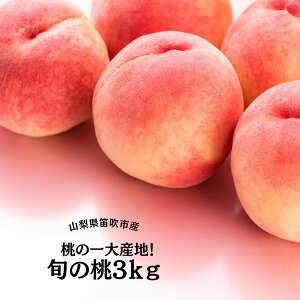 yӂ邳Ɣ[Łz25Ns\&y2026Ns\z̈YnIJsY{̓3kg ӂ邳Ɣ[   Js Y lC Ԍ ʕ t[c { R  167-011