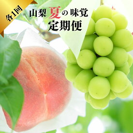 【ふるさと納税】【2026年発送★先行予約】『山梨夏の味覚定期便』笛吹市産旬の桃とシャインマスカット各1回 ふるさと納税 シャインマスカット 人気 ぶどう ブドウ 葡萄 旬 もも 桃 笛吹市 国産 人気 期間限定 果物 フルーツ 旬 山梨県 送料無料 167-014
